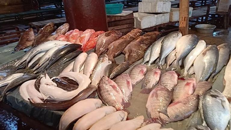 انخفاض-أسعار-السمك-البلطي-والمكرونة-والبوري-بسوق-العبور-اليوم-الثلاثاء