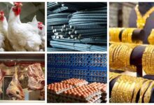 خريطة-الأسعار-اليوم:-ارتفاع-الذهب-والدواجن-وانخفاض-الفول-والسمك-البوري