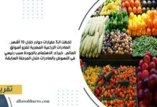 تخطت-الـ3-مليارات-دولار-خلال-10-أشهر-الصادرات-الزراعية-المصرية-تغزو-أسواق-العالم.-خبراء:-الاهتمام-بالجودة-سبب-رئيسي-فى-النهوض-بالصادرات-خلال-المرحلة-السابقة